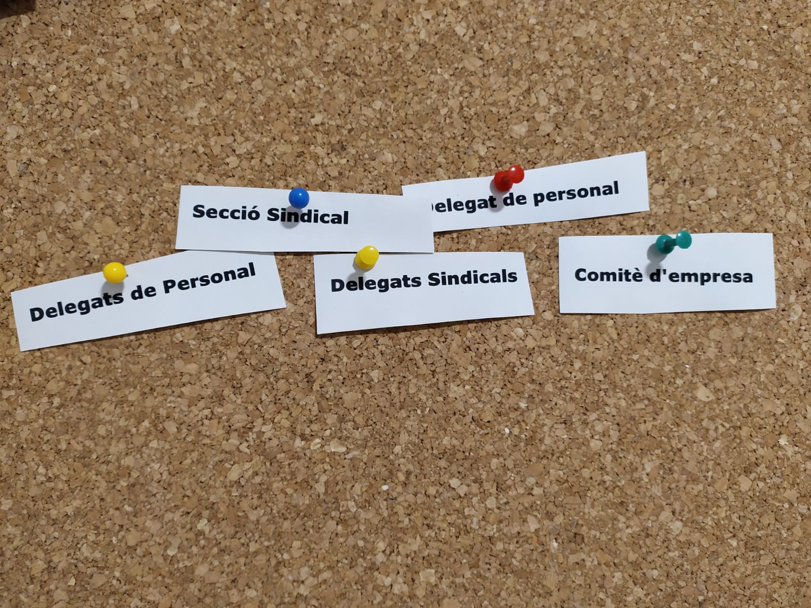 Els sindicats i l’empresa